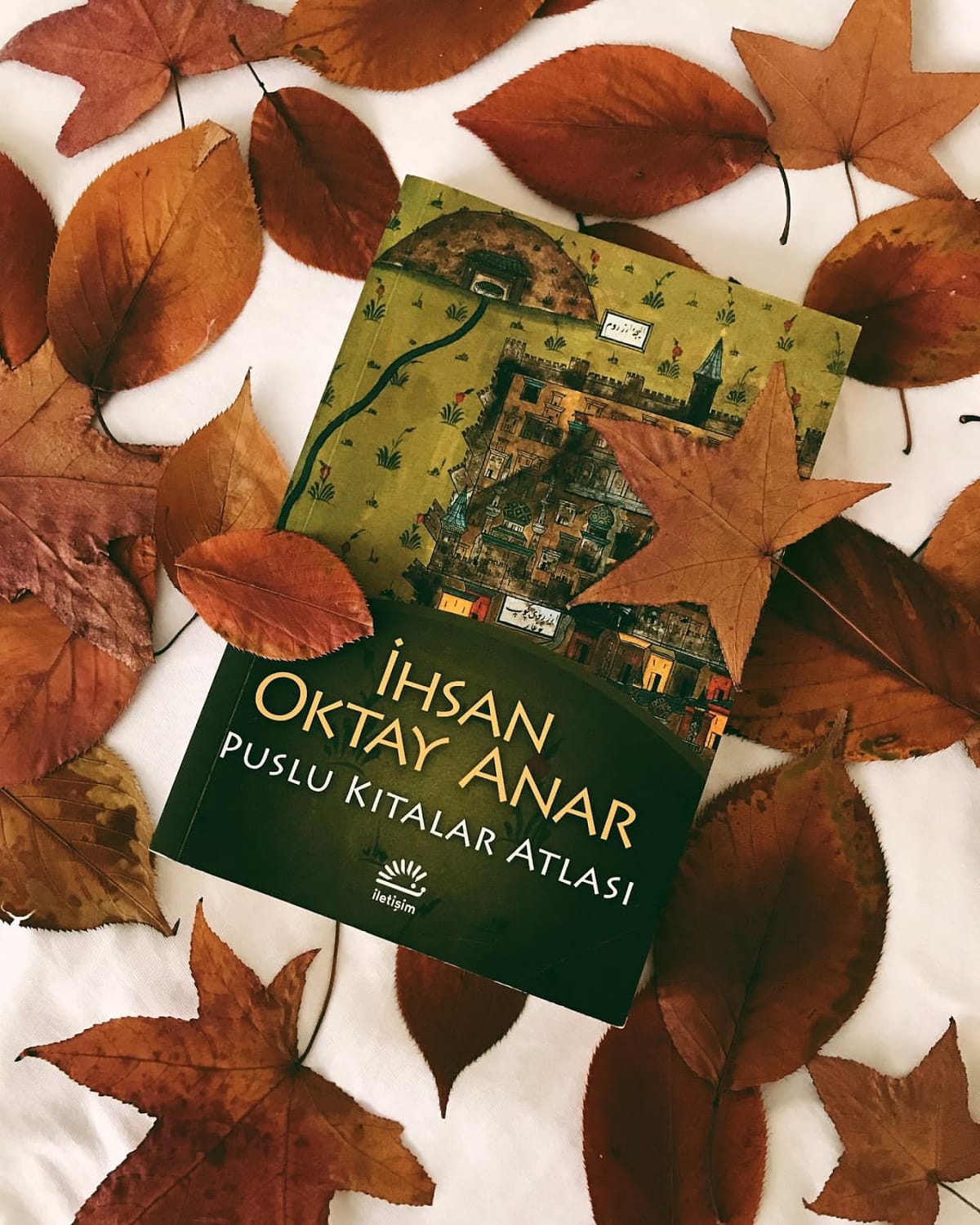 Puslu Kitalar Atlasi